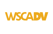 Washington State Coalition Against Domestic Violence